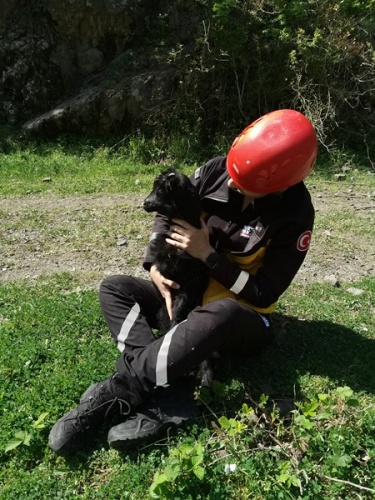 Artvin’de kayalıklardan düşen 2 aylık keçi yavrusu 24 saat sonra kurtarıldı