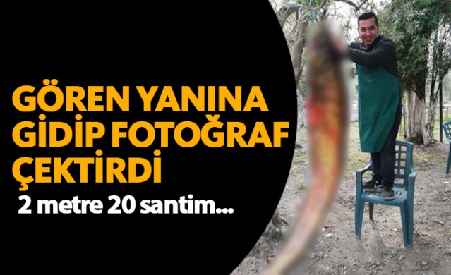 Gören yanına gidip fotoğraf çektirdi 1