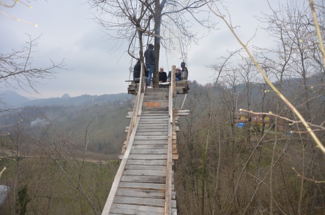 Üzüm asmasına kızdı ağacın tepesine kamelya yaptı 4