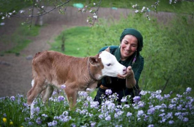 Karadeniz'de kadınlar yaz kış demeden çalışıyor 5