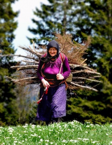 Karadeniz'de kadınlar yaz kış demeden çalışıyor 14