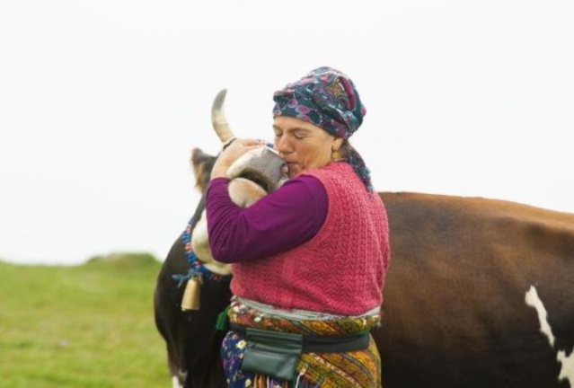 Karadeniz'de kadınlar yaz kış demeden çalışıyor 2