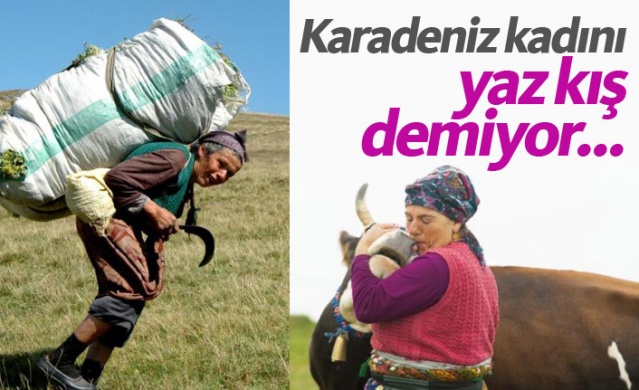 Karadeniz'de kadınlar yaz kış demeden çalışıyor 1