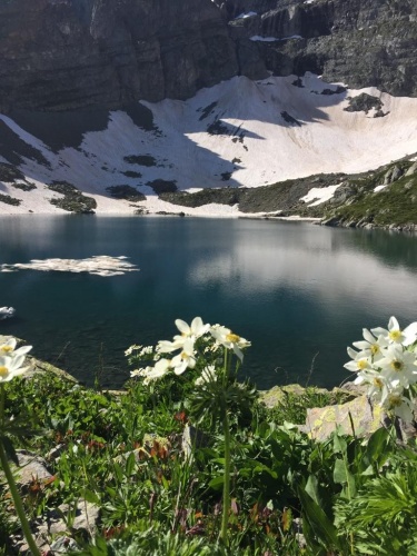 Doğal mirası kayıt altına aldılar! 2