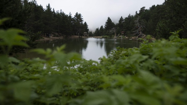 Doğal mirası kayıt altına aldılar! 4