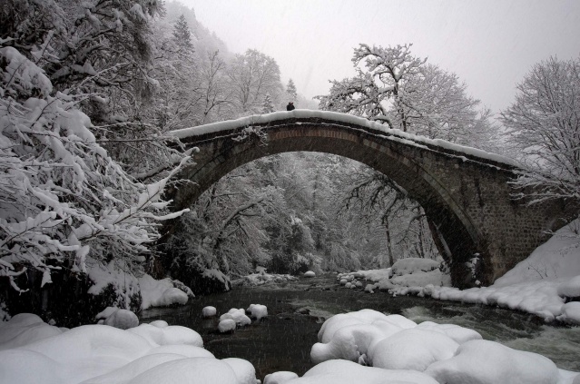 Doğal mirası kayıt altına aldılar! 11