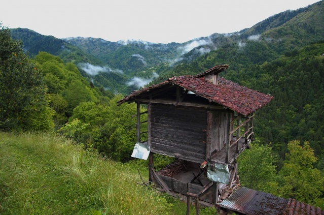 Doğal mirası kayıt altına aldılar! 9