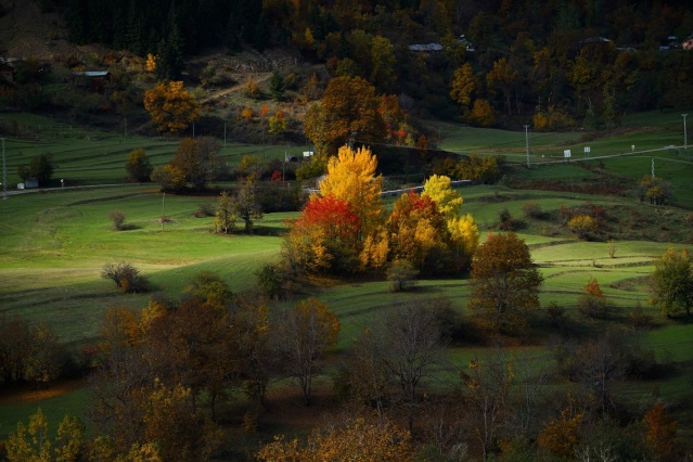 Doğal mirası kayıt altına aldılar! 12