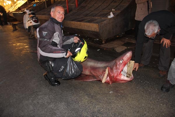 Görenler önce şok oldu, sonra telefona sarıldı 5