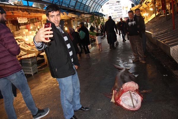 Görenler önce şok oldu, sonra telefona sarıldı 8