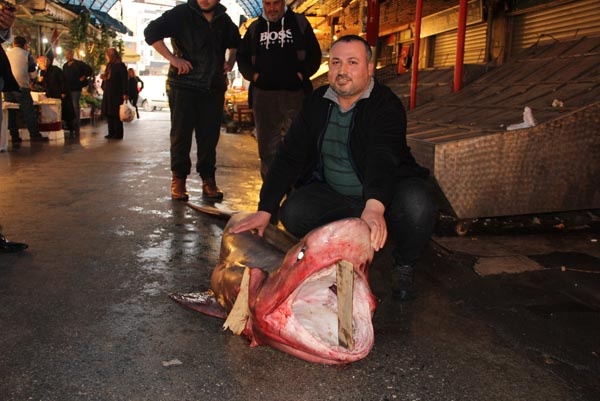 Görenler önce şok oldu, sonra telefona sarıldı 7