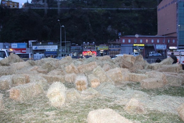 Trabzon'da saman yüklü kamyon devrildi 2