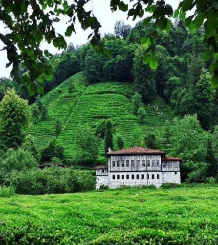 Genç: Projelerle anılmak istiyorum 12