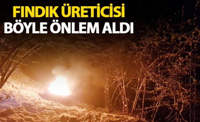 Fındık üreticisi dona karşı böyle önlem aldı 1