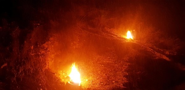 Fındık üreticisi dona karşı böyle önlem aldı 11