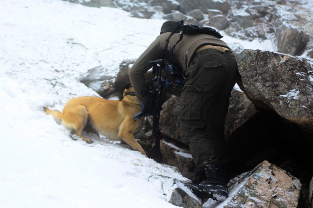 Doğu Karadeniz'de büyük operasyon! 8
