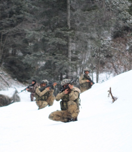 Doğu Karadeniz'de büyük operasyon! 20
