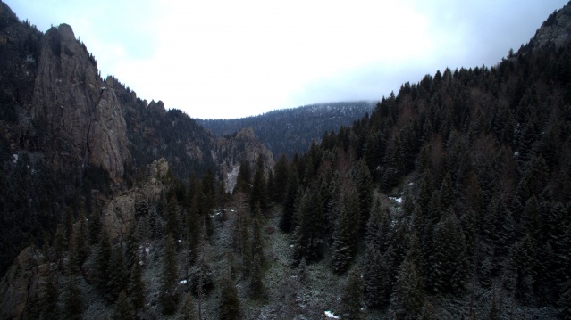 Doğu Karadeniz'de büyük operasyon! 14