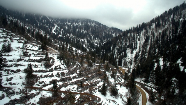 Doğu Karadeniz'de büyük operasyon! 23