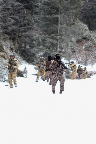 Doğu Karadeniz'de büyük operasyon! 22
