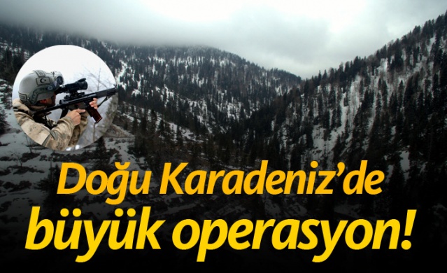 Doğu Karadeniz'de büyük operasyon! 1