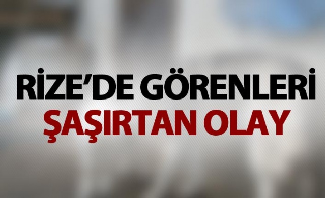 Rize'de görenleri şaşırtan olay - Sibirya kurdu ile yavru keçi... 1