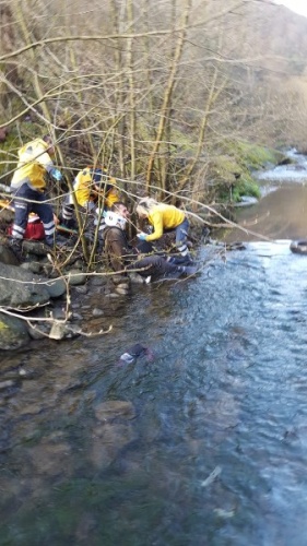 Otomobil dereye uçtu - 3 yaralı 3