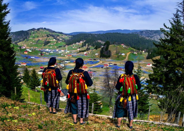 Kadıralak Yaylası bu yıl da maviye boyandı 14