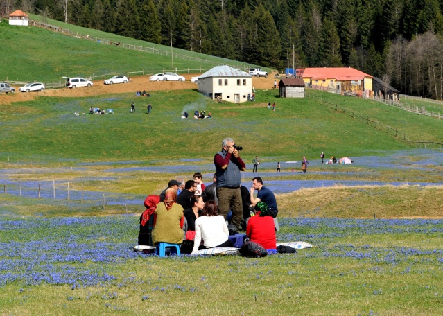 Kadıralak Yaylası bu yıl da maviye boyandı 6