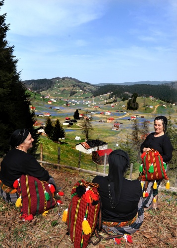 Kadıralak Yaylası bu yıl da maviye boyandı 4