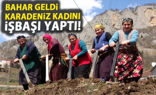 Bahar geldi Karadeniz kadını tarlaya indi 1