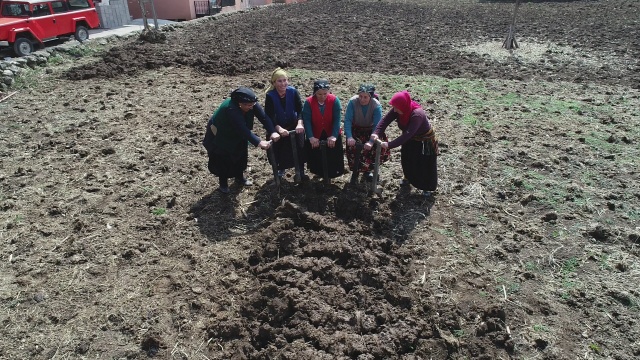 Bahar geldi Karadeniz kadını tarlaya indi 9