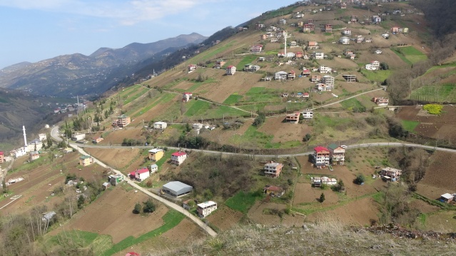 Bahar geldi Karadeniz kadını tarlaya indi 8