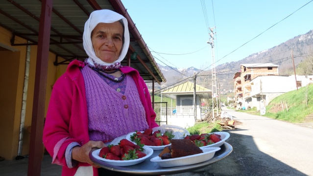 Bahar geldi Karadeniz kadını tarlaya indi 5