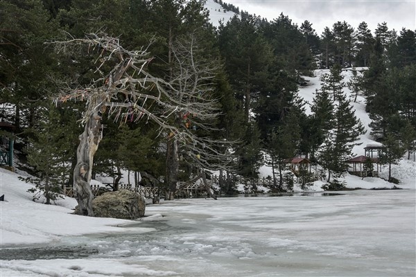 Karla kaplı yolu ulaşıma açılınca Arap turistler soluğu orada aldı 9
