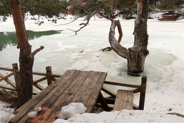 Karla kaplı yolu ulaşıma açılınca Arap turistler soluğu orada aldı 12