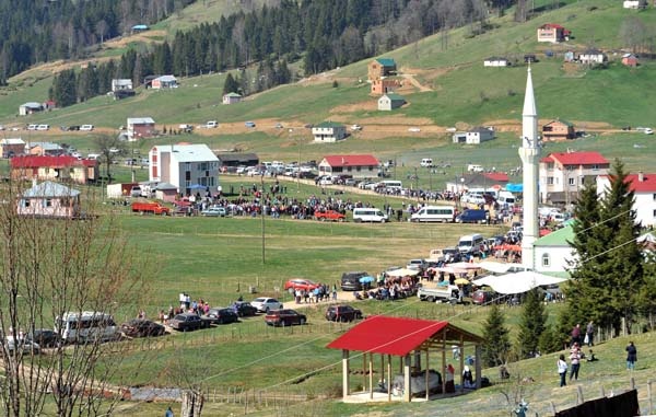 Trabzon'un Mor yaylasına ziyaretçi akını 14