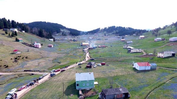 Trabzon'un Mor yaylasına ziyaretçi akını 11