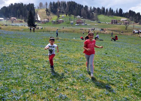 Trabzon'un Mor yaylasına ziyaretçi akını 7
