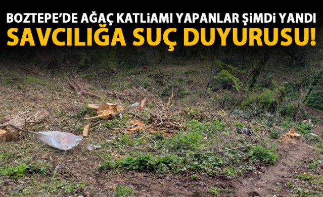 Boztepe'de ağaç katliamı yapanlar şimdi yandı! 1