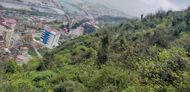 Boztepe'de ağaç katliamı yapanlar şimdi yandı! 2