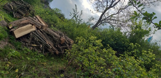 Boztepe'de ağaç katliamı yapanlar şimdi yandı! 6