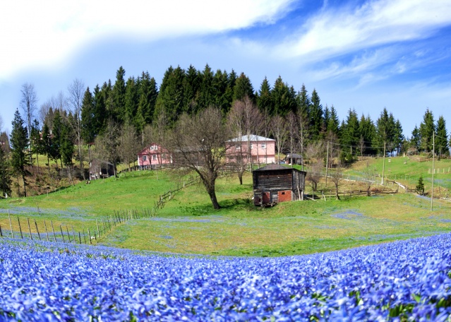 Kadıralak Yaylası için sevindirici haber geldi! 8