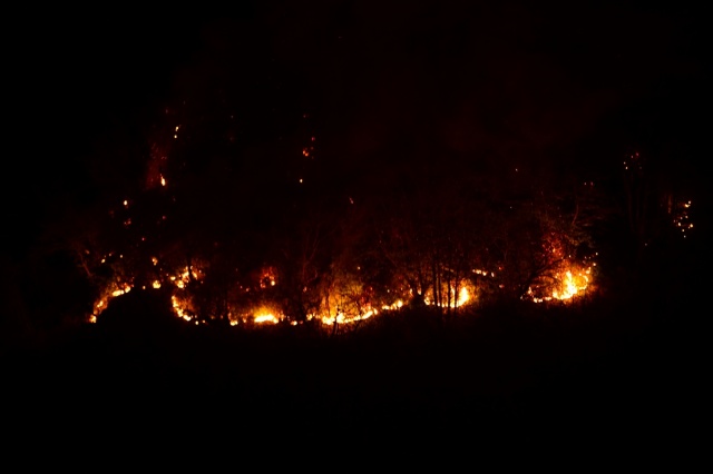 Espiye'deki orman yangınında son durum ne? 2