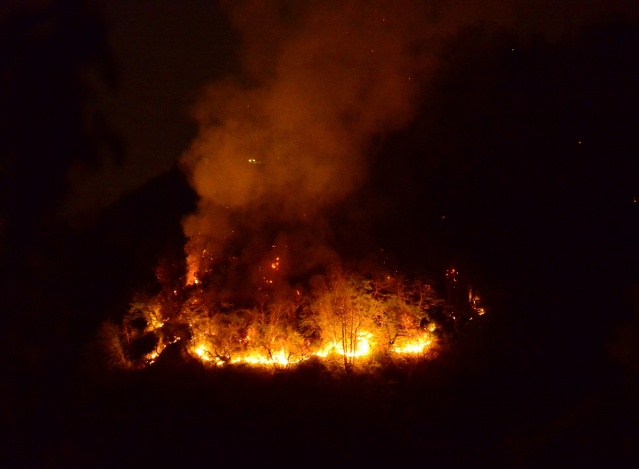 Espiye'deki orman yangınında son durum ne? 7