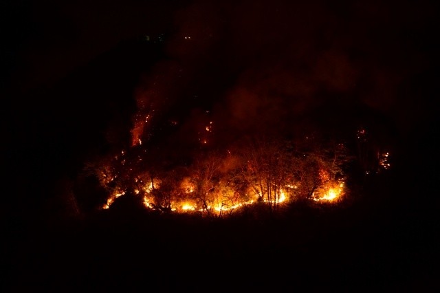 Espiye'deki orman yangınında son durum ne? 3