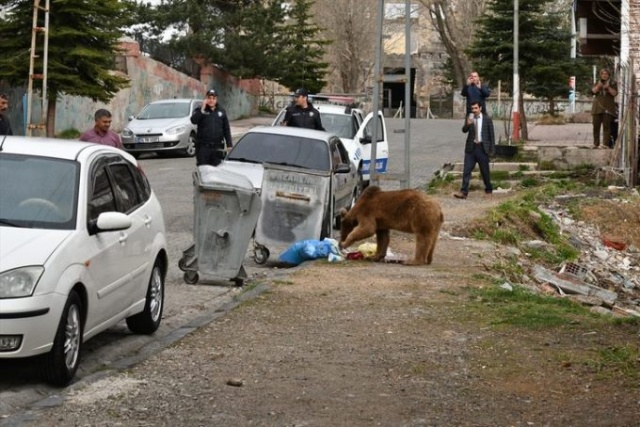 Gören telefonuna sarıldı! 8