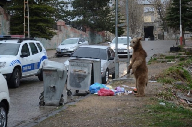 Gören telefonuna sarıldı! 3