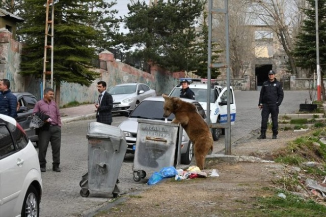 Gören telefonuna sarıldı! 14