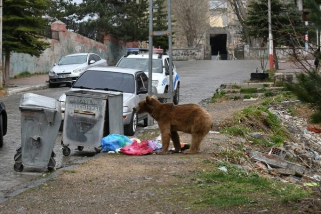 Gören telefonuna sarıldı! 6